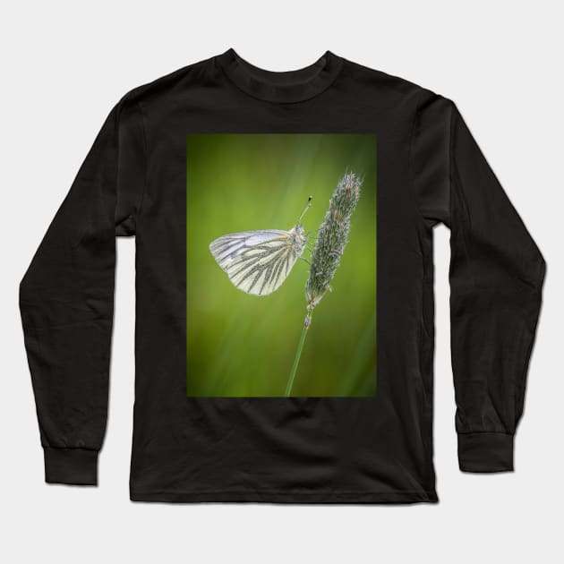 Green-veined White Butterfly on Grass Stalk Long Sleeve T-Shirt by TonyNorth